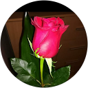 Anjali Vishwakarma profile picture